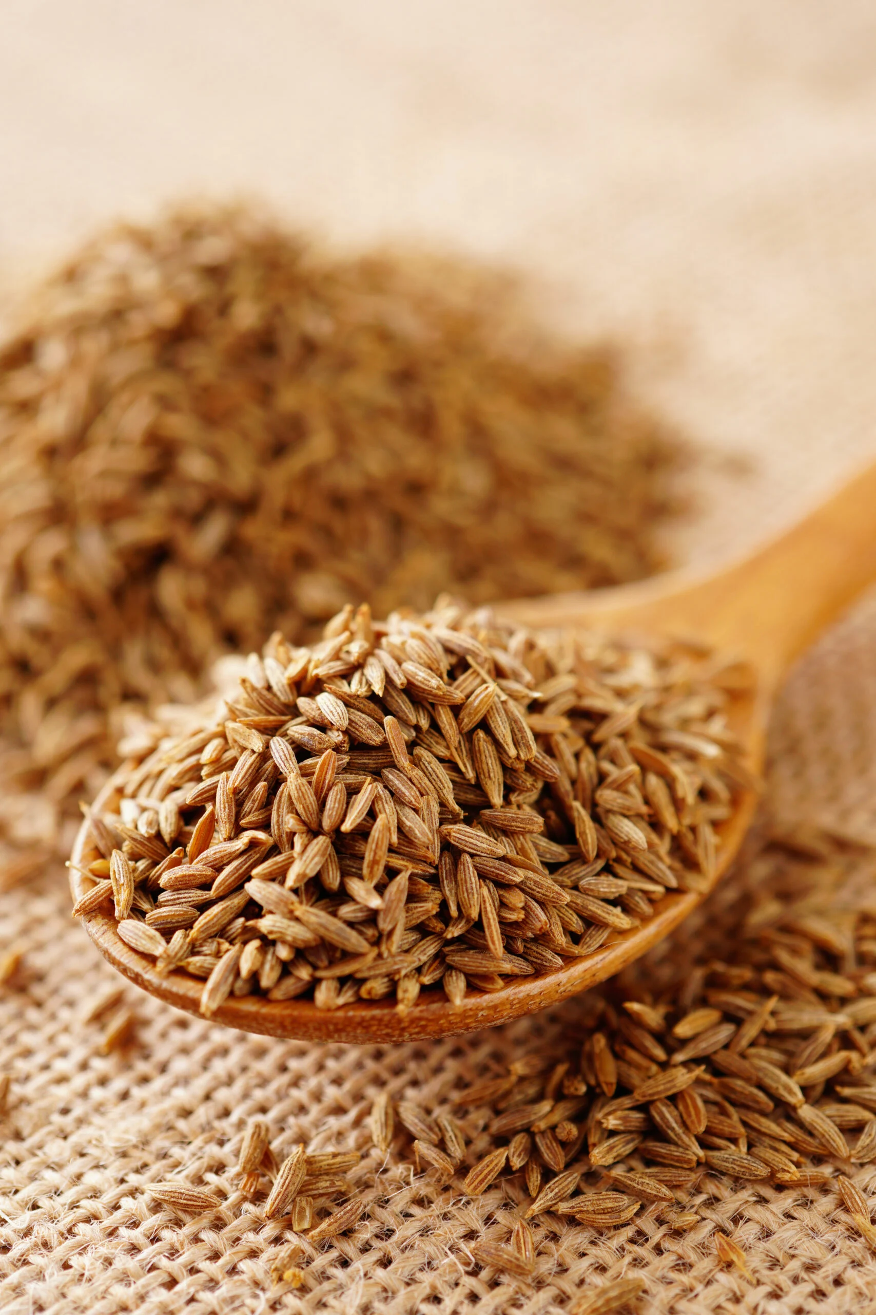 الكمون - الصورة 2