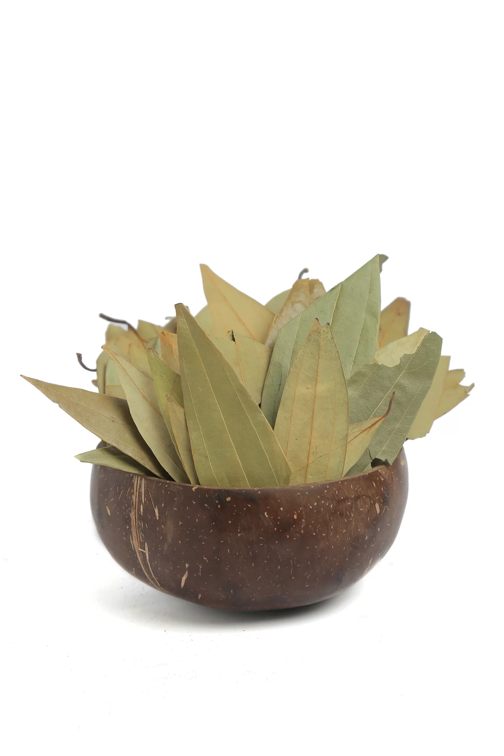 ورق الغار - الصورة 2